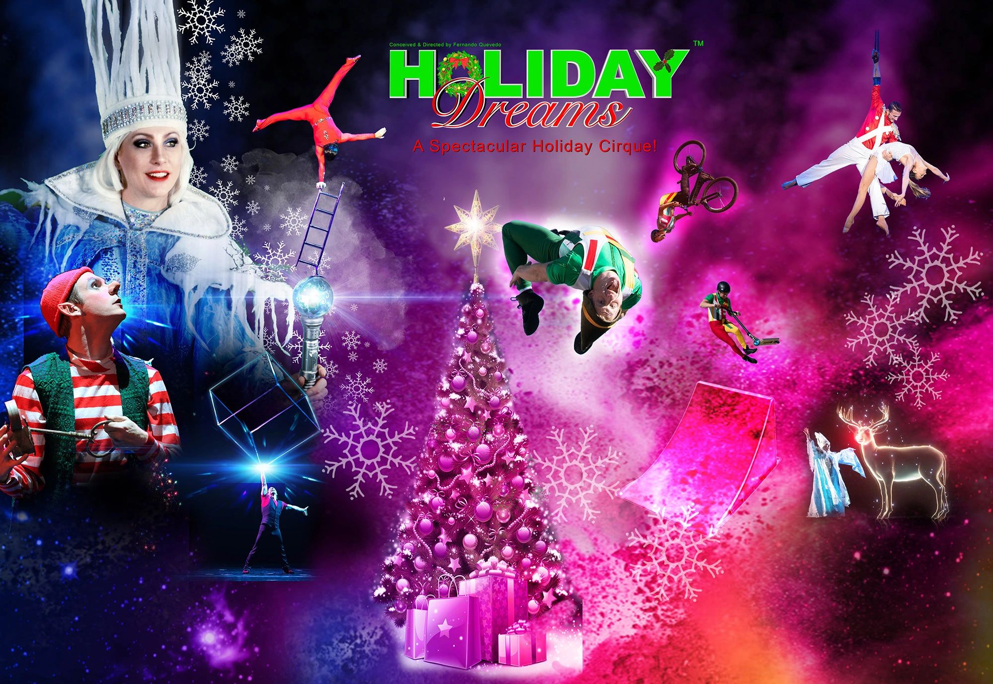 FAQs Holiday Dreams, A Spectacular Holiday Cirque!